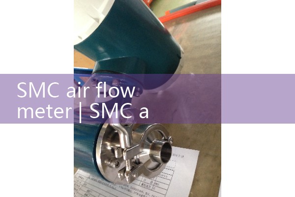 smc air flow meter|heat flow meter
